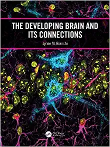 The Developing Brain and its Connections (Original PDF from Publisher)