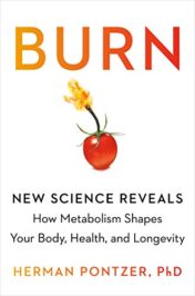 Burn: New Research Blows the Lid Off How We Really Burn Calories, Lose Weight, and Stay Healthy (EPUB and CONVERTED PDF)