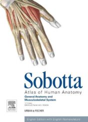 Sobotta Atlas of Human Anatomy, Vol.1, 15th Edition., English: General Anatomy and Musculoskeletal System (Original PDF)