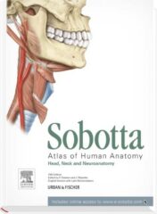 Sobotta Atlas of Human Anatomy, Vol. 3, 15th Edition, English/Latin: Head, Neck and Neuroanatomy (Original PDF)