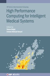 High Performance Computing for Intelligent Medical Systems (Original PDF)
