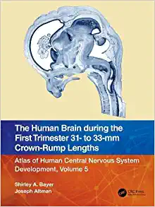 The Human Brain during the First Trimester 31- to 33-mm Crown-Rump Lengths: Atlas of Human Central Nervous System Development, Volume 5, 1st edition (Original PDF from Publisher)