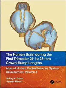 The Human Brain during the First Trimester 21- to 23-mm Crown-Rump Lengths: Atlas of Human Central Nervous System Development, Volume 4 (Original PDF from Publisher)