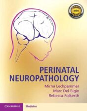 Perinatal Neuropathology 2020 Original pdf