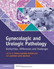 Gynecologic and Urologic Pathology: Similarities, Differences and Challenges (PDF)
