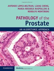 athology of the Prostate: An Algorithmic Approach 2018 Converted PDF