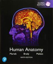 Human Anatomy, Global Edition, 9th Edition  Original PDF  