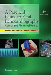 A Practical Guide to Fetal Echocardiography: Normal and Abnormal Hearts, 3rd Edition (EPUB and CONVERTED PDF)