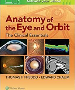 Anatomy of the Eye and Orbit: The Clinical Essentials (Original PDF from Publisher)
