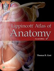 Lippincott Atlas of Anatomy, 2nd Edition (High Quality PDF)