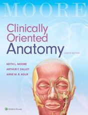 Clinically Oriented Anatomy, 8th Edition 2017 Original PDF