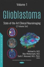 Glioblastoma: State-of-the-art Clinical Neuroimaging, 2 Volume Set (PDF)