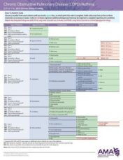 ERC-ICD-10 Chronic Disease 2019 – Copd/Asthma/pneumonia (EPUB and CONVERTED PDF)