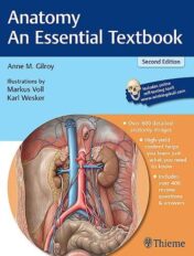 Anatomy – An Essential Textbook (Thieme Illustrated Reviews), 2nd edition (Original PDF)