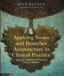 Applying Stems and Branches Acupuncture in Clinical Practice (EPUB)