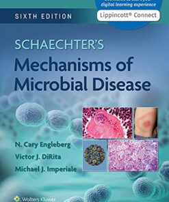 Schaechter’s Mechanisms of Microbial Disease, 6th Edition (EPUB3 + Converted PDF)