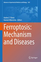 Ferroptosis: Mechanism and Diseases (Original PDF from Publisher)