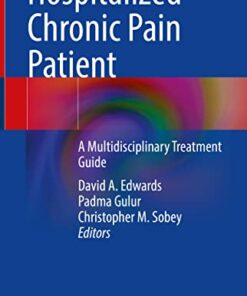 Hospitalized Chronic Pain Patient: A Multidisciplinary Treatment Guide (EPUB)