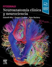 Fitzgerald. Neuroanatomía clínica y neurociencia, 8th edition 2022 Original PDF