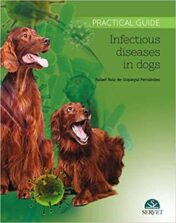 Infectious diseases in dogs  