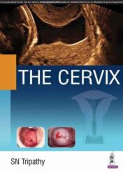 The Cervix Original PDF 