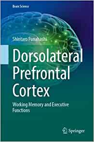 Dorsolateral Prefrontal Cortex: Working Memory and Executive Functions (Brain Science) (Original PDF from Publisher)