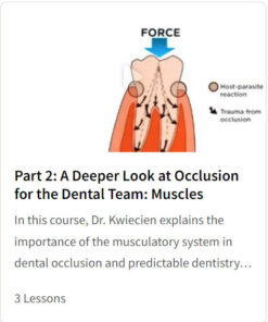 Part 2: A Deeper Look at Occlusion for the Dental Team: Muscles