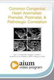 AIUM VIDEO HD Common Congenital Heart Abnormalities: Prenatal, Postnatal, and Pathologic Correlations
