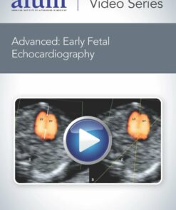 Advanced: Early Fetal Echocardiography