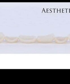 Aesthetic Dentistry - Carlos Falcao