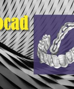 Beyond Exocad 2022 Basic, Intermediate, Advanced