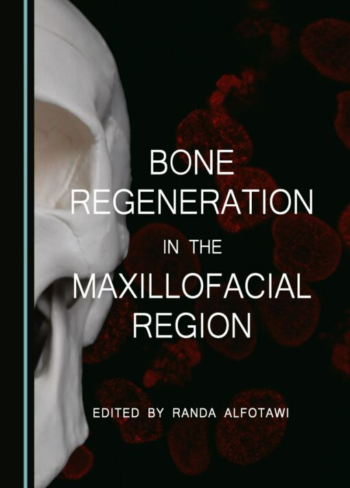 Bone Regeneration in the Maxillofacial Region 1st Edition PDF 