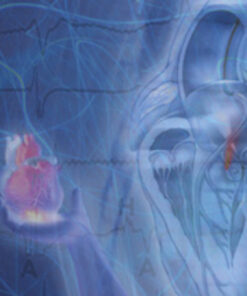 Cardiovascular Review Course for Cardiology Boards and Recertification- Videos+PDF