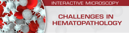 Challenges in Hematopathology