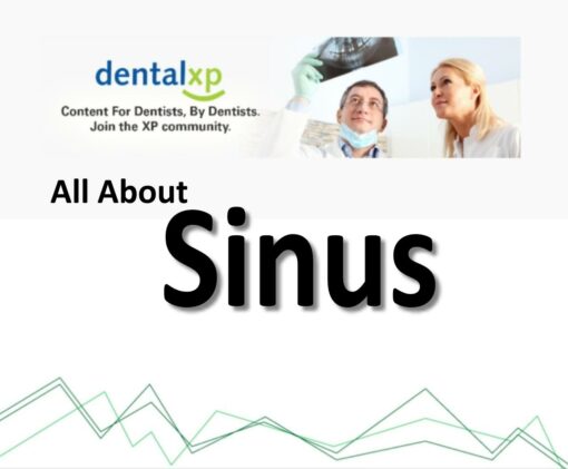 DentalXP All About Sinus