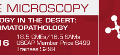 Dermatopathology in the Desert