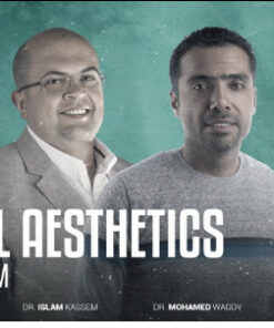 Facial Aesthetics Program (5 Credit Hours)