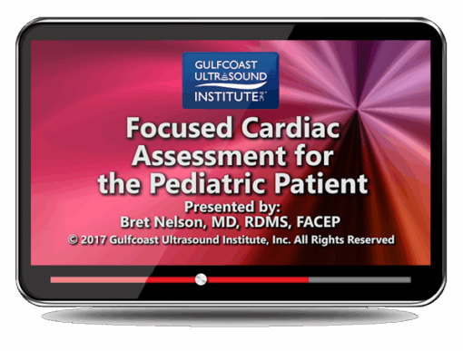 Focused Cardiac Assessment for the Pediatric Patient
