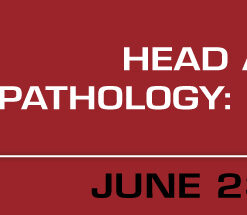 Head and Neck Pathology: Start to Finish