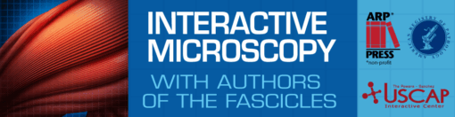 Interactive Microscopy with Authors of the Fascicles