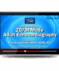 Introduction to 2D/M-Mode Adult Echocardiography