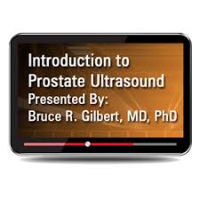 Introduction to Prostate Ultrasound