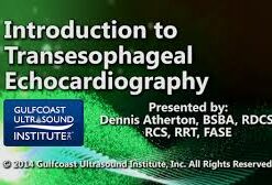 Introduction to Transesophageal Echocardiography