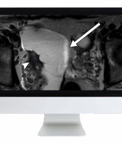 Women's Imaging