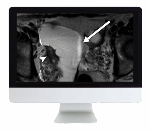 Women's Imaging