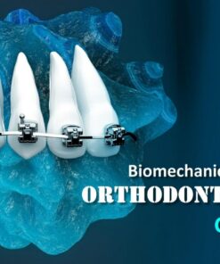 Introduction to OHI-S Biomechanics Fundamentals of Orthodontic Therapy