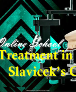 Online school "Treatment in Slavicek’s concept"