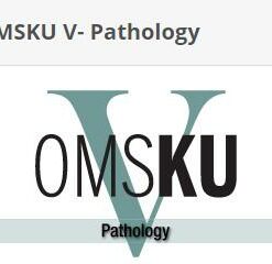 OMSKU V- Pathology