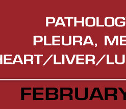 Pathology of the Lung, Pleura, Mediastinum, and Heart/Liver/Lung Transplantation