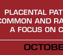 Placental Pathology - A Tour of Common and Rare Pathologies with a Focus on Clinical Relevance